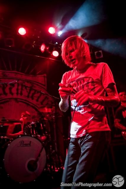 Evergreen Terrace live