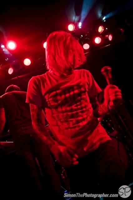 Evergreen Terrace live