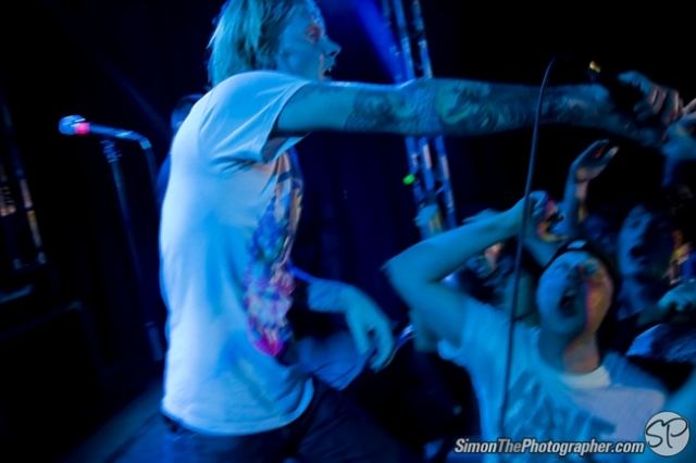 Evergreen Terrace live