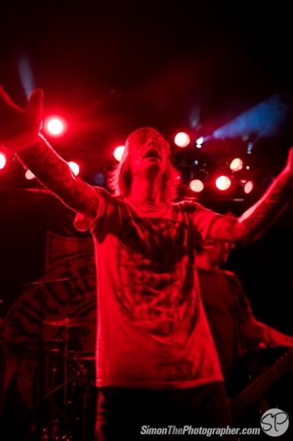 Evergreen Terrace live