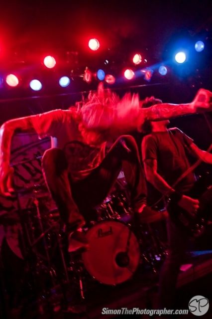 Evergreen Terrace live