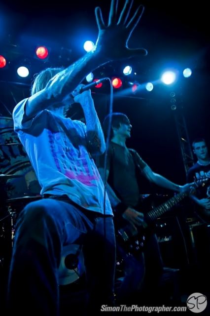 Evergreen Terrace live