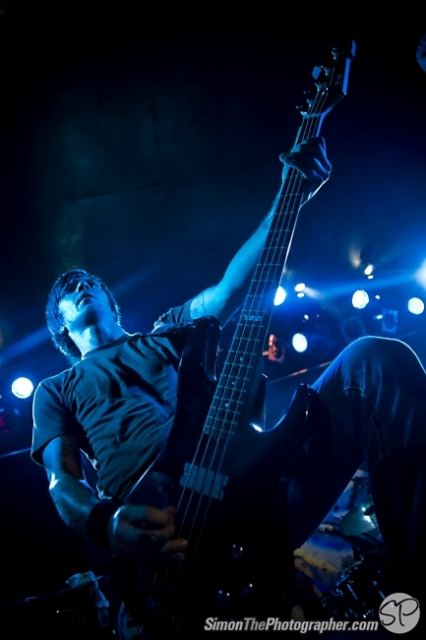 Evergreen Terrace live