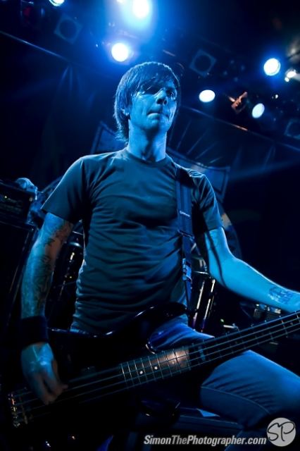 Evergreen Terrace live