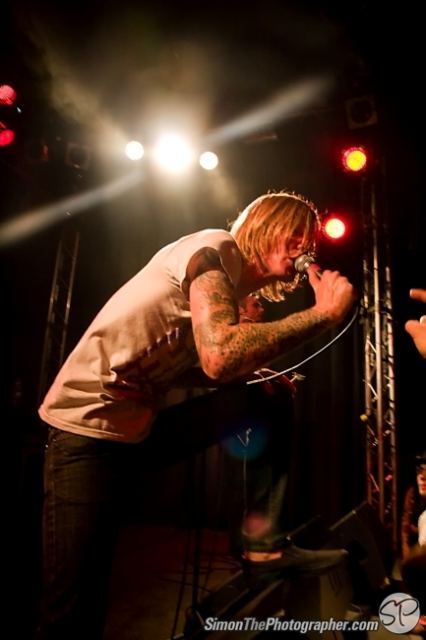 Evergreen Terrace live