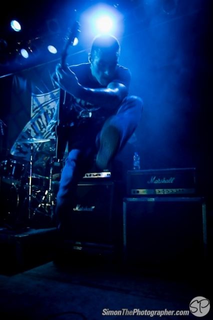 Evergreen Terrace live