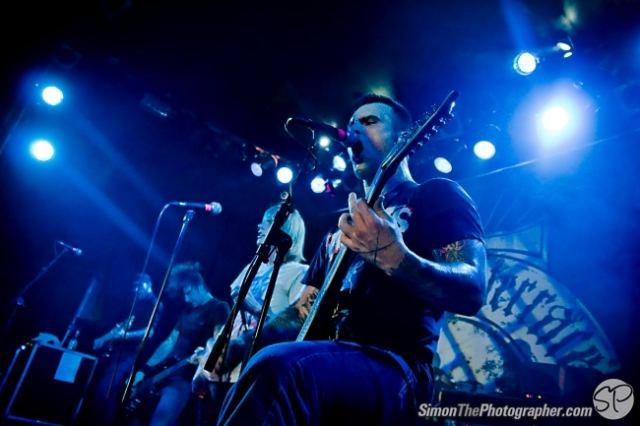 Evergreen Terrace live
