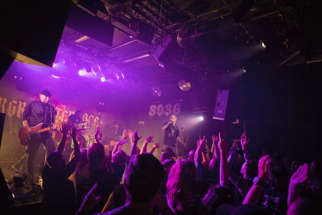 Evergreen Terrace live