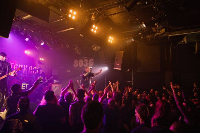 Evergreen Terrace live
