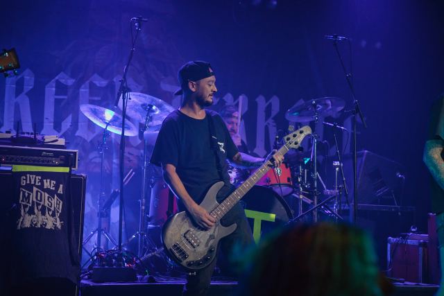 Evergreen Terrace live