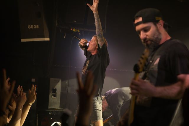 Evergreen Terrace live