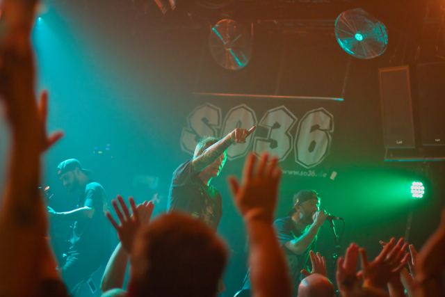 Evergreen Terrace live