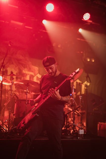 Evergreen Terrace live
