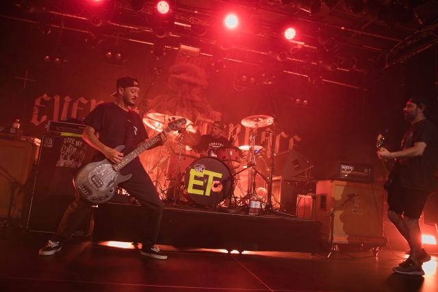 Evergreen Terrace live