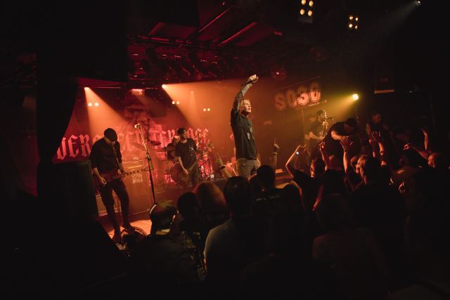 Evergreen Terrace live