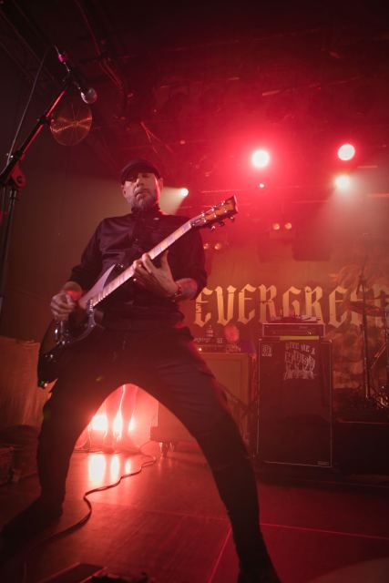 Evergreen Terrace live