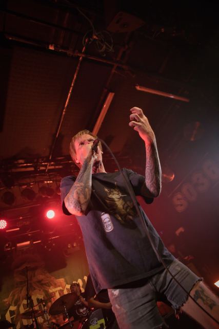 Evergreen Terrace live